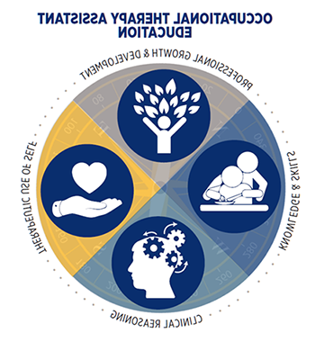 OTA Curriculum Threads Graphic