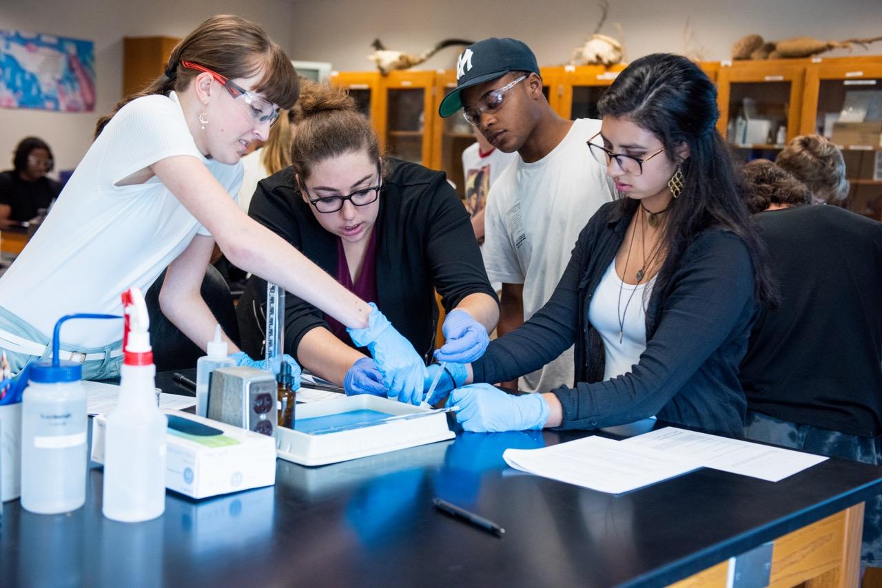 Three students and an instructor conducting experiments in a science lab.